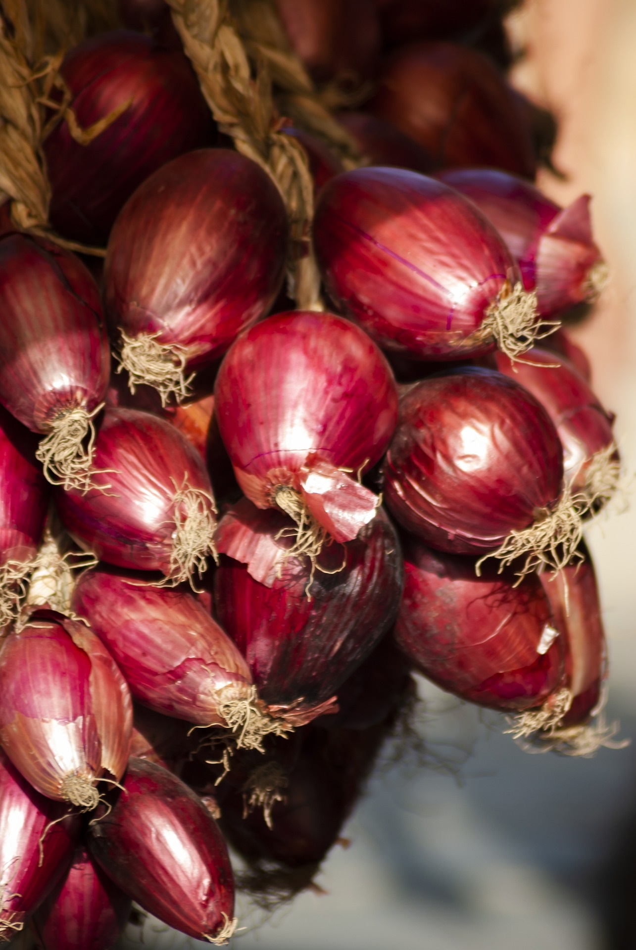 onions-4890846_1920